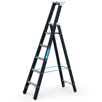 Lépcsőfokos állólétra, egyik oldalról elérhető, terhelés 250 kg, magasság 2150 mm, 5 fokos