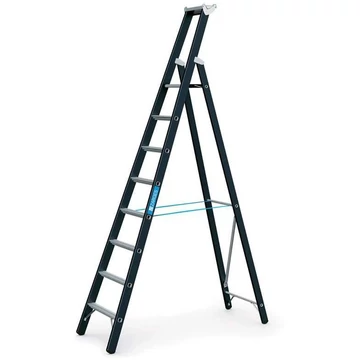 Lépcsőfokos állólétra, egyik oldalról elérhető, terhelés 250 kg, magasság 2990 mm, 8 fokos